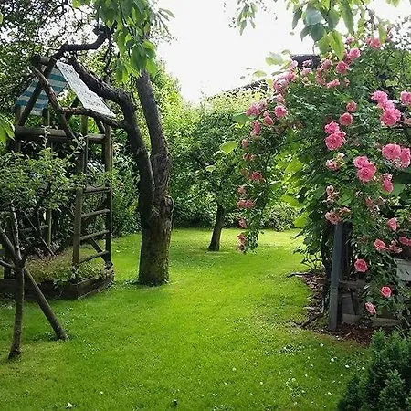 Daire Tatjana Ljubljana