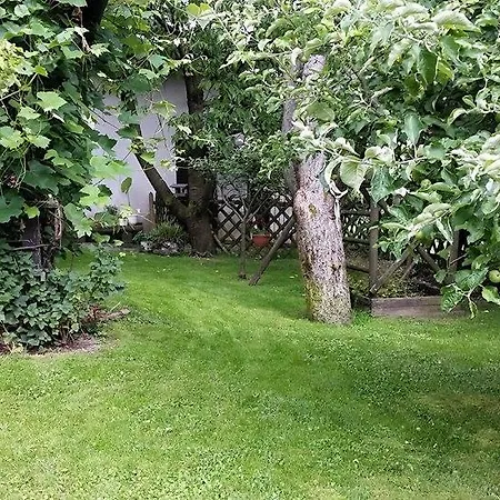 Tatjana Daire Ljubljana